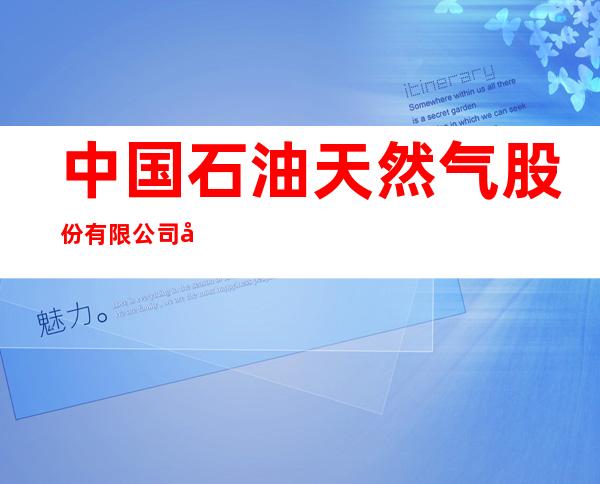 中国石油天然气股份有限公司宁夏中卫销售分公司中卫经兰加油站